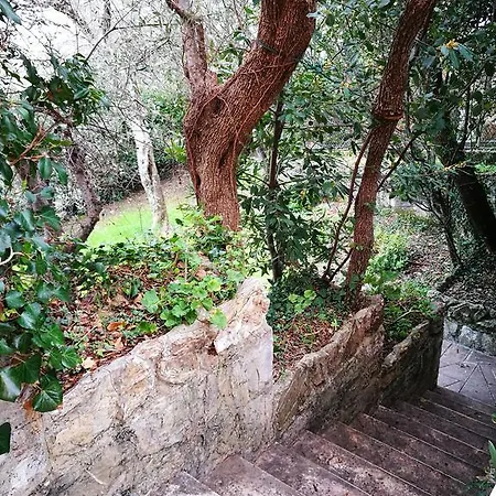 Biancarosa * Rapallo